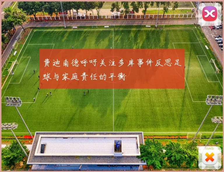 费迪南德呼吁关注多库事件反思足球与家庭责任的平衡