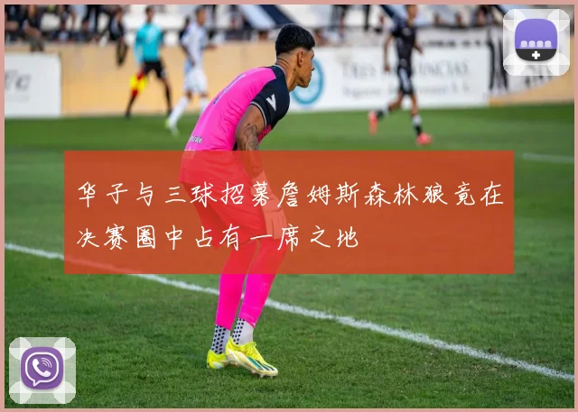 华子与三球招募詹姆斯森林狼竟在决赛圈中占有一席之地